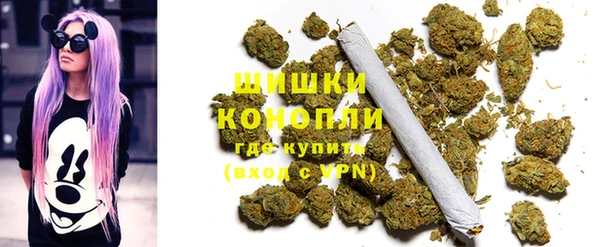 крисы Горняк