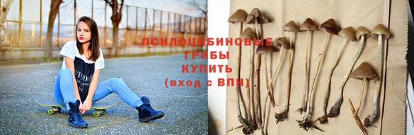 экстази Белокуриха