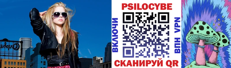 продажа наркотиков  Богданович  Галлюциногенные грибы Magic Shrooms 